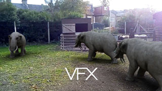 VFX